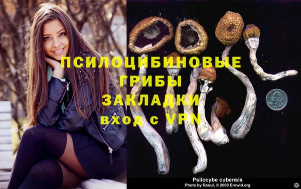 прущие крисы Михайловка