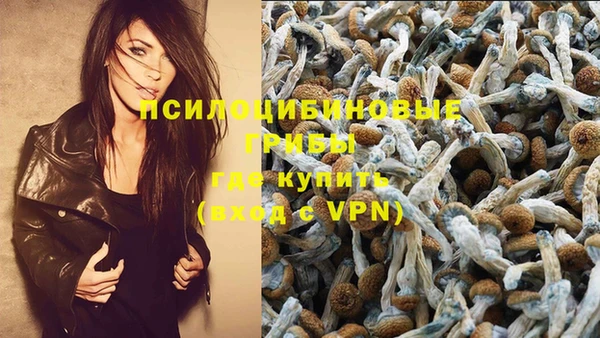 MDMA Premium VHQ Армянск