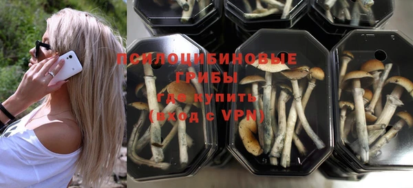 таблы Арсеньев